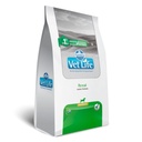 Vet Life Renal Canine Formula 2Kg