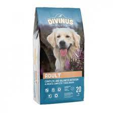 Divinus Adult 20Kg