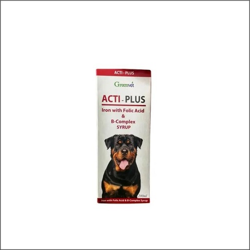 [IR00093] Actiplus Syrup 200ml