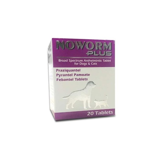 Noworm Plus Tablet 20's