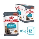 Royal Canin Cat Urinary Care Gravy Pouch 85g