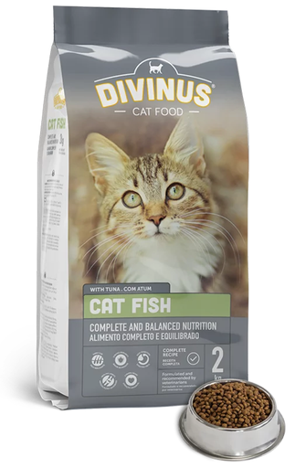 [PC02864] Divinus Cat Adult Fish 2Kg