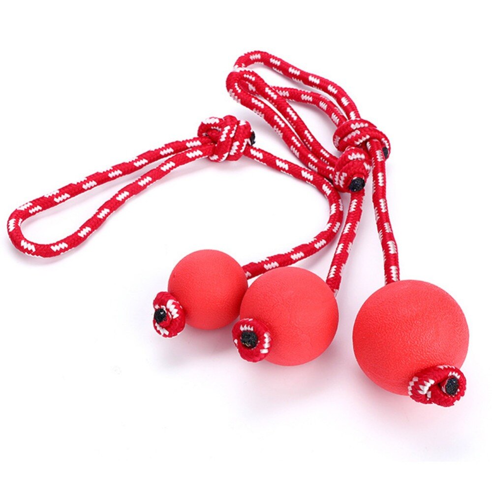 Toy ball rubber with leash - S