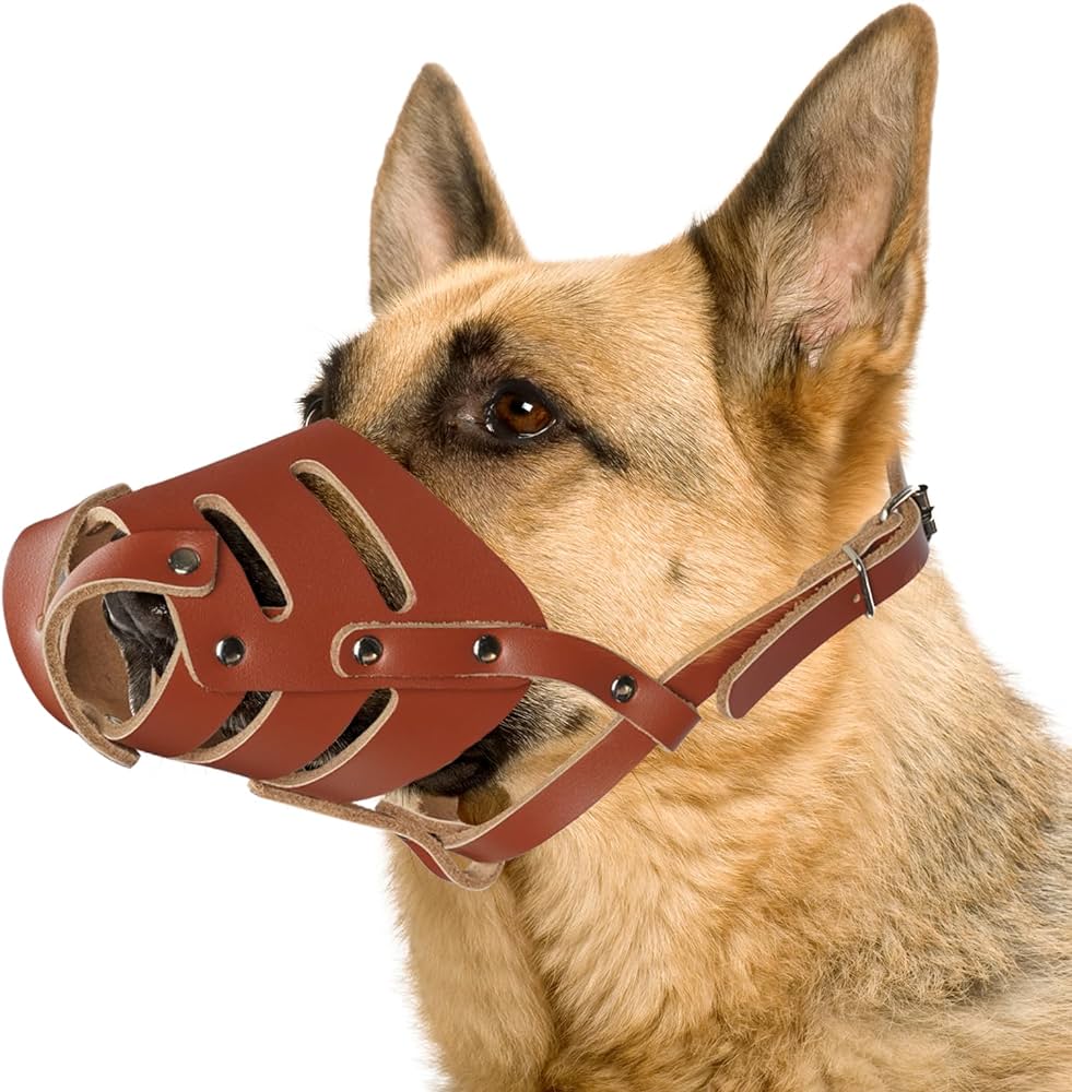 Muzzle leather - M