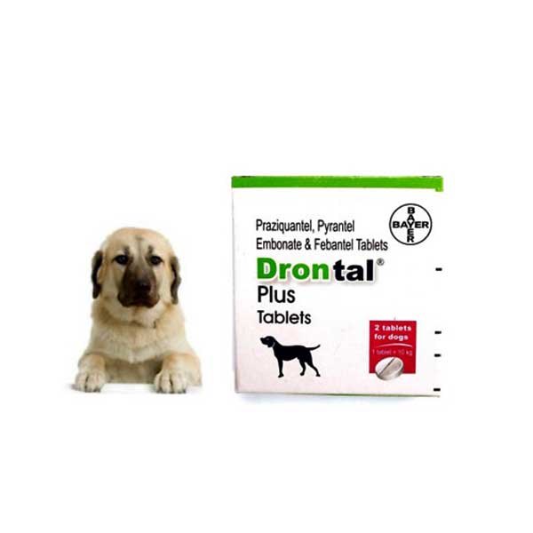 Drontal Plus Pack - 2Tab