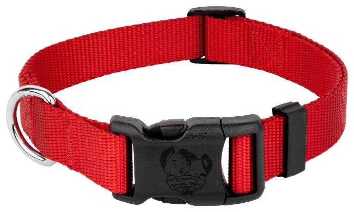 Neck Collar Plain 1"