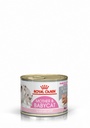 Royal Canin Starter Mother & Baby Cat Mousse 195g